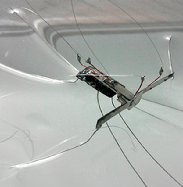 Water Spider Robot