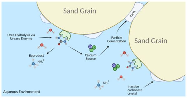 Enzyme-Induced Calcite Mineralisation (EICP)