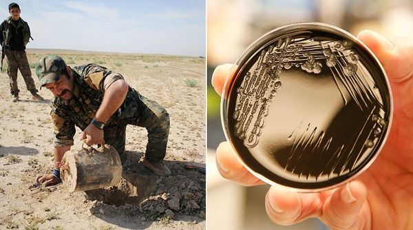 Microscopic Bomb Detector