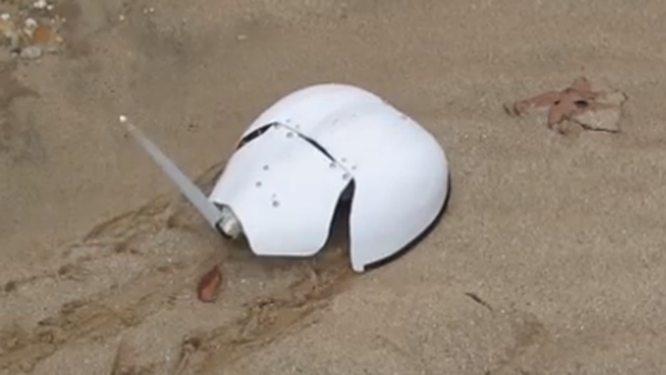 RoboCrab