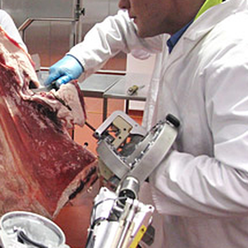 Cobotic meat hook