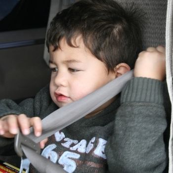Seat belt mechanism