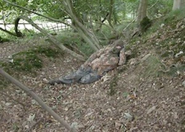 Camouflage