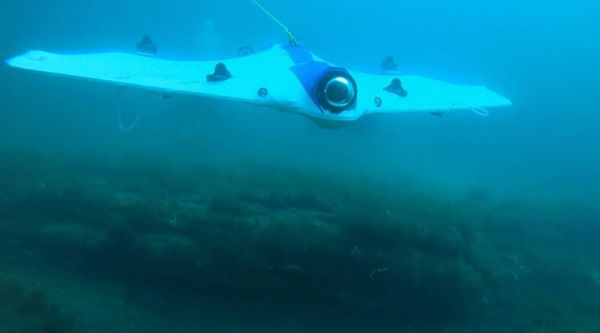 SeaSearcher