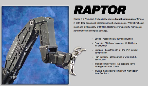 Raptor