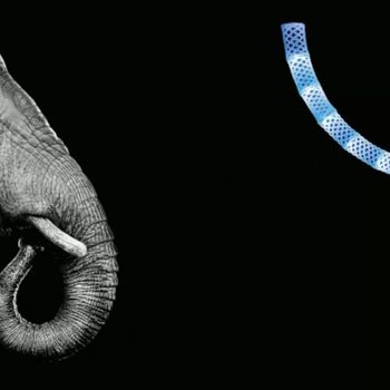 Bionic E-Trunk