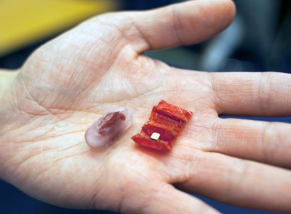 Ingestible origami robot