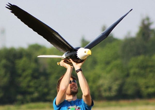 Robirds